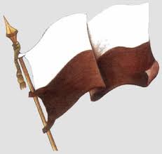 Bandera Institucional